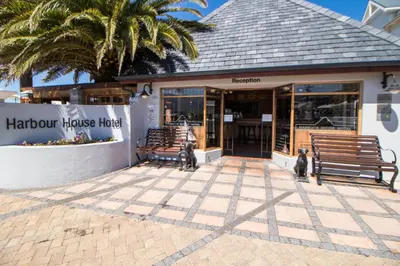two cats sitting outside of a harcourt house hotel at Harbour House Hotel - Adventure Pads in Hermanus