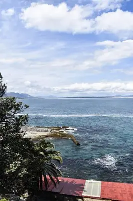 a view of a body of water with a tree at Hermanus Waterfront Apartment No.20 in Hermanus