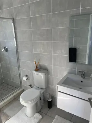 a bathroom with a toilet and a shower and a sink at Casa The Jade in Cape Town