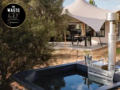a pool in the backyard of a house with an umbrella at Wagyu Mountain Lodge in Paarl