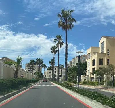 a street with palm trees and a car on the road at The CoziPlace Italia in Cape Town