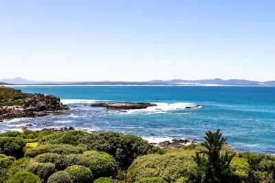 a view of the ocean from a hill with trees at Bayview 305A in Hermanus