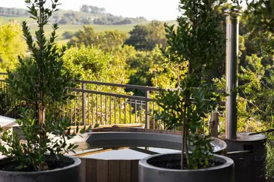 a garden with two potted trees and a bridge at Avemore Olive Apartment - full Backup power in Stellenbosch
