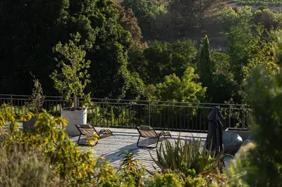 two chairs and an umbrella sitting on a patio at Avemore Orchard Apartment - with full Backup power in Stellenbosch