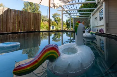 a swimming pool with a inflatable swan and a rainbow at The Earthy Inn in Greyton