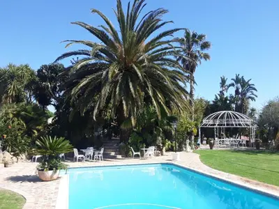a large palm tree next to a swimming pool at Goldeneye Private Venue Spectre in Raithby