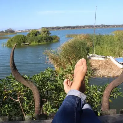 Nature's Rest