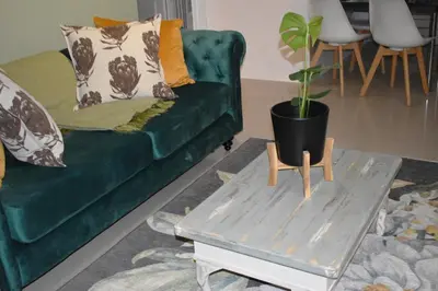 a living room with a green couch and a potted plant at The Botanical House in Somerset West