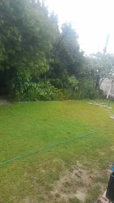 a yard with a kite in the grass at THE TREE HOUSE in Grabouw