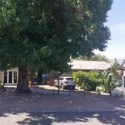 THE TREE HOUSE