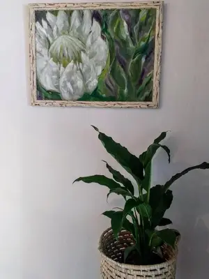 a plant in a basket next to a painting on a wall at Santika Getaway Cottage Stellenbosch in Stellenbosch