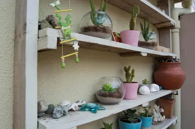 a shelf with potted plants and other items on it at 5 Lantra in Strand