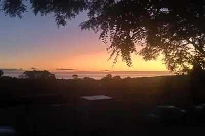a sunset with a tree in the foreground at Hermanus Sea view room in Hermanus