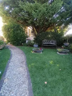 a park bench sitting in the grass near a tree at Hermanus Sea view room in Hermanus