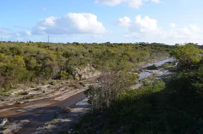 a river in the middle of a field with trees at 4 Bed Selfcatering River Tree House overlooking the Onrus river in Hermanus