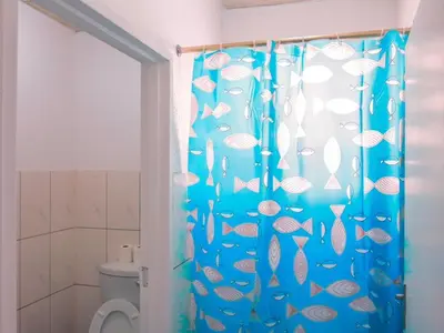 a bathroom with a shower curtain with fish on it at 33 Goulborn street Goodwood in Cape Town