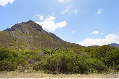 a mountain with trees and bushes in front of it at Suidersee-Voelklip in Hermanus