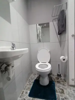a bathroom with a white toilet and a sink at Mila Lodge 1 in Cape Town