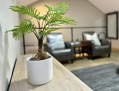 a potted plant sitting on a table in a living room at Meerendahl Luxury Apartments at Heritage Square in Durbanville