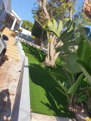a yard of green grass next to a house at Gardenia Guesthouse in Cape Town