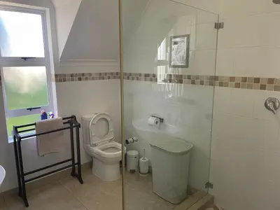 a small bathroom with a toilet and a shower at De Blauwvoet - Meerkat (Sunset Beach) in Cape Town
