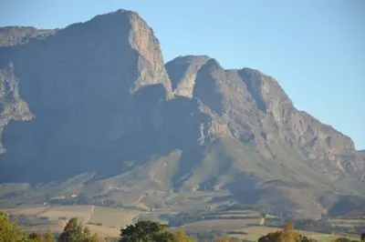 a view of a mountain range with trees in the foreground at Petite France:luxury thatched 4BRcottage with pool in Franschhoek