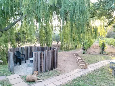 a dog laying on the ground under a tree at Glamping at The Well in Franschhoek in Franschhoek