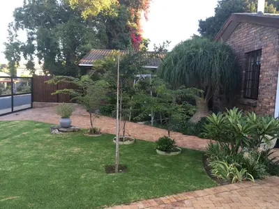 a garden with a small tree in the yard at Aan de weg in Cape Town