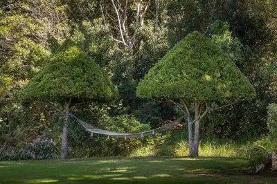 a hammock between two trees in a garden at Southwinds Estate in Hermanus