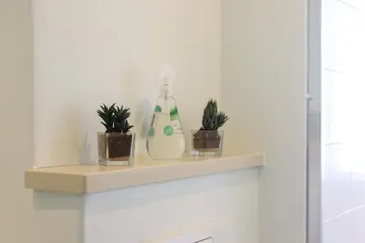 three plants sitting on a shelf in a bathroom at Portico 1006 Beachfront Apartment with Panoramic Views in Cape Town