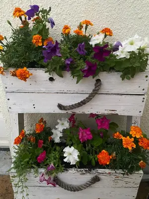 a white planter filled with colorful flowers at Shalom On The Bay in Cape Town
