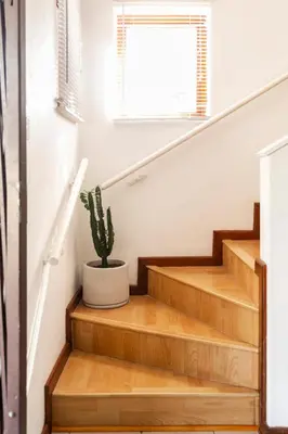 a house with wooden stairs and a cactus at Innie Baai Beach House in Cape Town