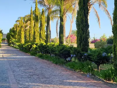 a path in a park with palm trees and flowers at Irma's farmstay at the Nuy Valley Guesthouse in Nuy