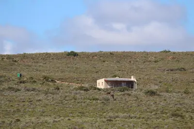 a small house in the middle of a field at Phumelela Private Game Farm in Pinegrove