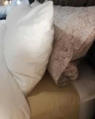 a white pillow sitting on top of a bed at Rondebosch East Garlandale STRICTLY HALAAL, fresh garden cottage in Cape Town