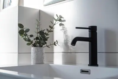 a bathroom sink with a vase with a plant in it at Luxury suite near Church Street in Stellenbosch