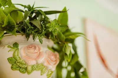 a white vase with pink roses and a plant at Luxury suite near Church Street in Stellenbosch
